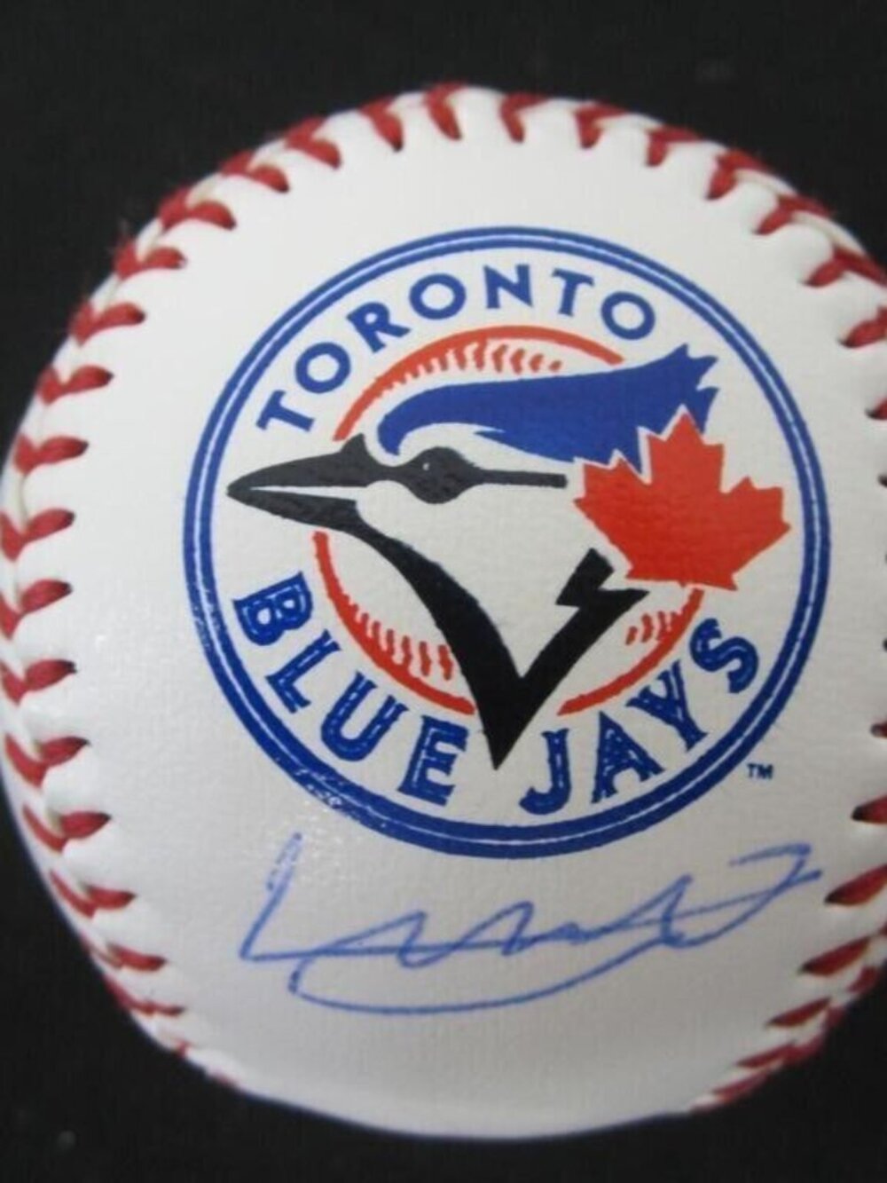 Vladimir Guerrero Jr. signed/autographed baseball w/COA (Toronto Blue Jays)